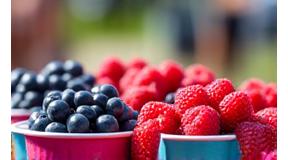 Sommerfest mit Beerenverkostung